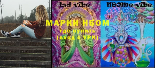 прущий лед Горняк