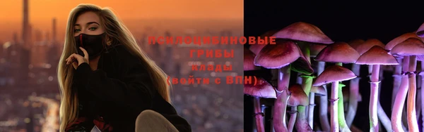 ECSTASY Волосово