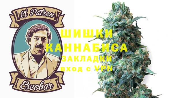 ECSTASY Волосово