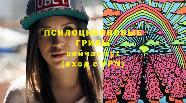 ешки Вяземский