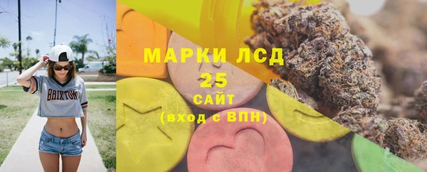 ешки Вяземский