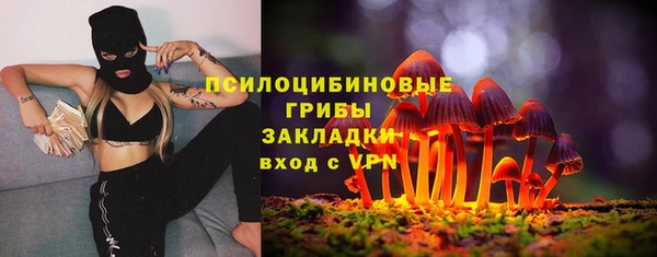 не бодяженный Верхний Тагил