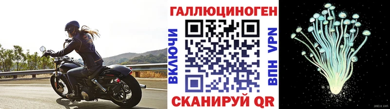 mega рабочий сайт Егорьевск Галлюциногенные грибы мицелий
